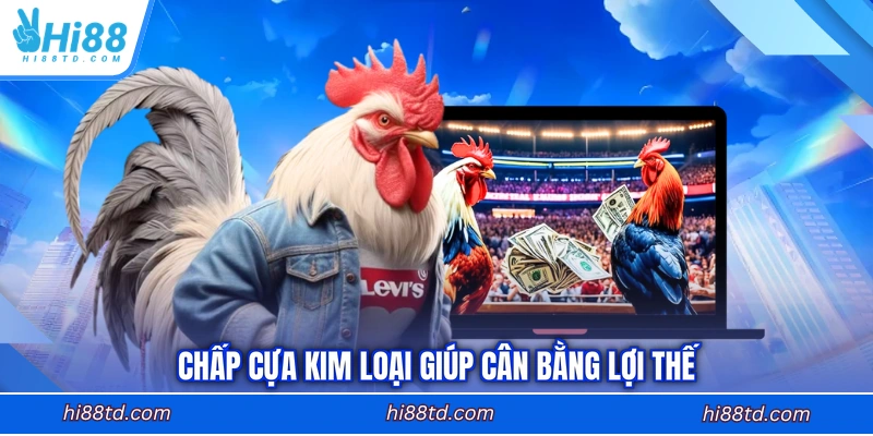 Chấp cựa kim loại giúp cân bằng lợi thế