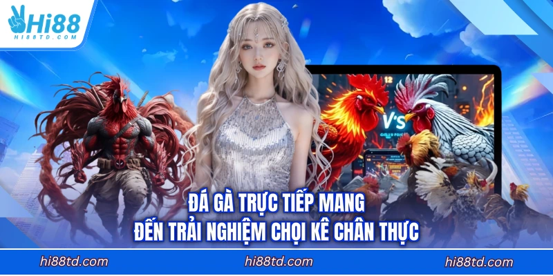 Đá gà trực tiếp mang đến trải nghiệm chọi kê chân thực