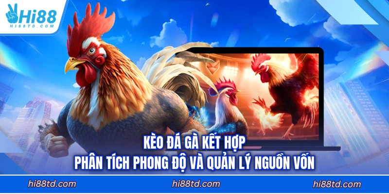 Kèo đá gà kết hợp phân tích phong độ và quản lý nguồn vốn