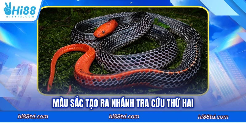 Màu sắc tạo ra nhánh tra cứu thứ hai