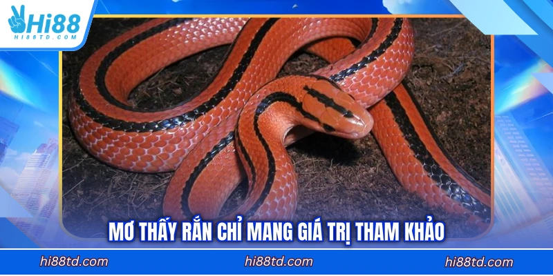 Mơ thấy rắn chỉ mang giá trị tham khảo
