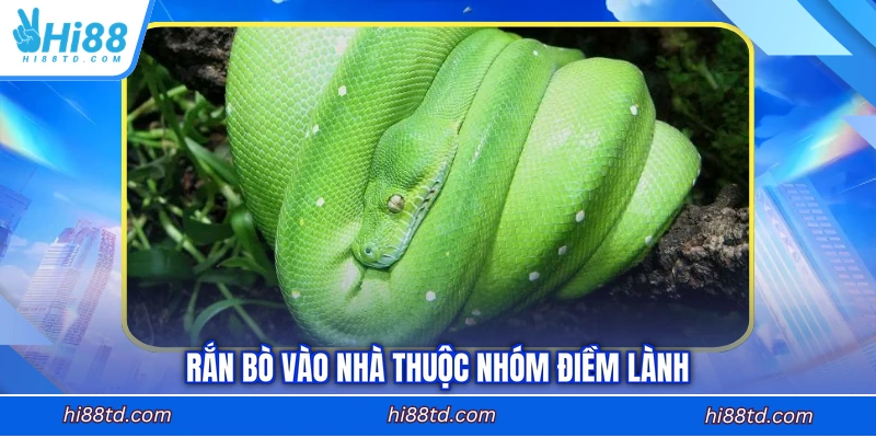 Rắn bò vào nhà thuộc nhóm điềm lành